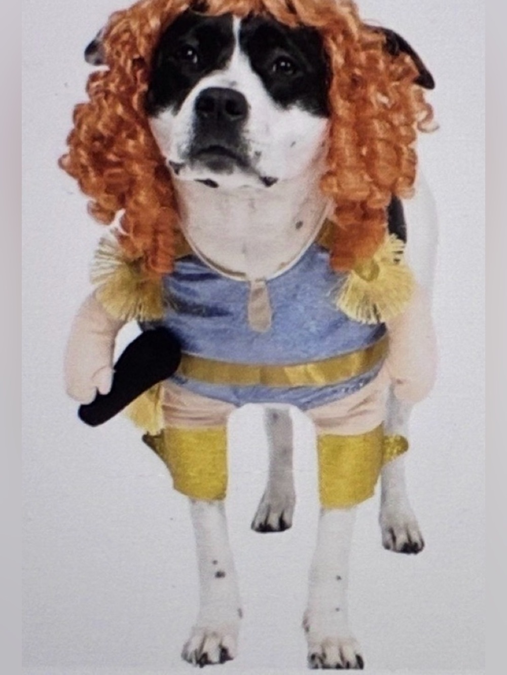 Vibrant Life "Pop Princess" Walkie Pet Costume Sz XS Cat Or Dog Costume NEW